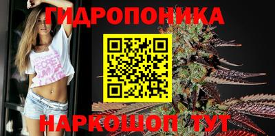 гидра Гусиноозёрск