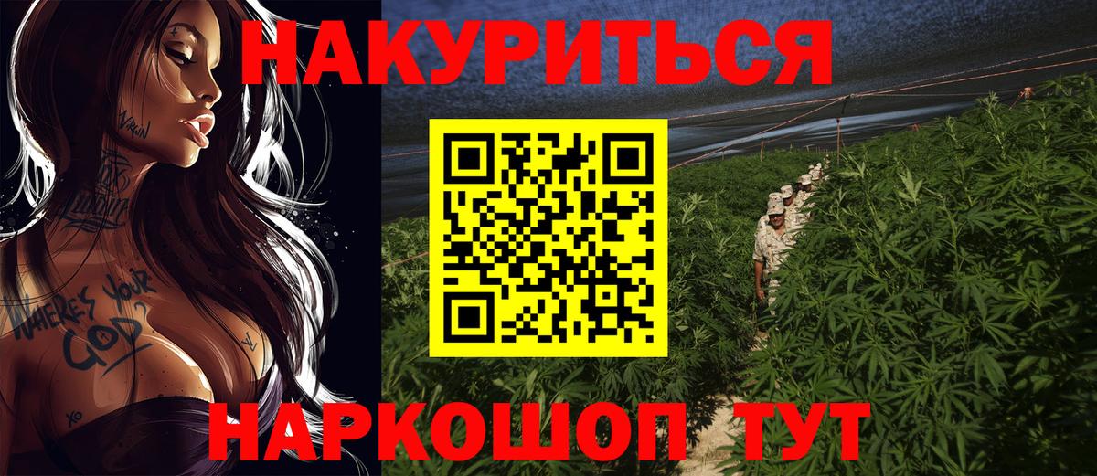 Канабис ГИДРОПОН Москва